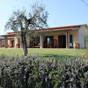 Il Vecchio Mandorlo Bauernhof Castiglione della Pescaia